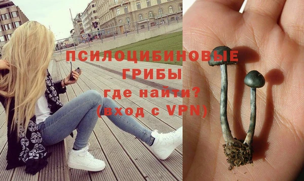 ешки Коряжма