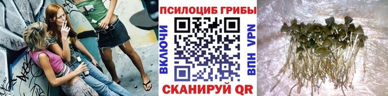 Купить закладки  Пенза  Псилоцибиновые грибы MAGIC MUSHROOMS 